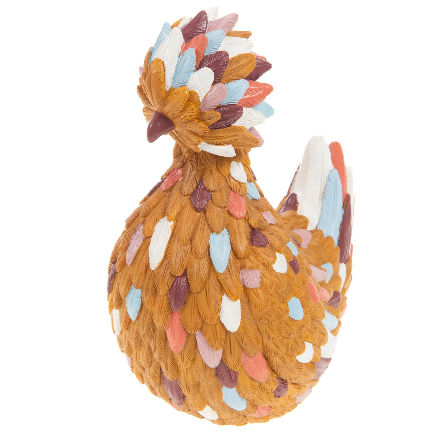 Poule Broc - Amadeus